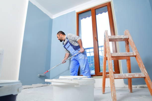 Crestview, FL Mold Removal Company