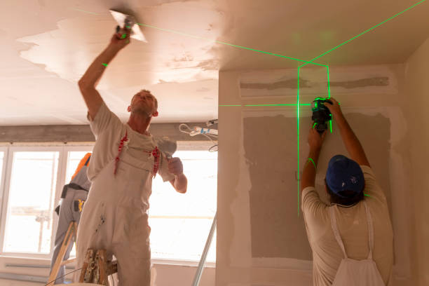 Best Basement Mold Removal  in Crestview, FL